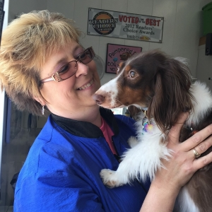 Dog grooming and bathing in Hanover PA 17331.  Groomer and groom services Hanover PA 17331